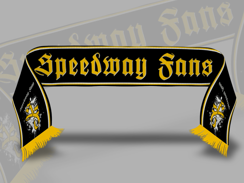 speedway_fans